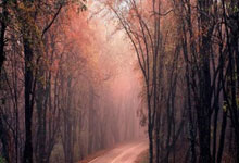 那不勒斯主场告捷，保持欧战资格希望