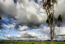 欧洲杯预选赛热门强队：烽火连天