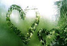 巴拉多利德逆转雷加利亚，主场豪取三分