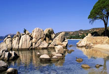 球场大战展现出团队的无限魅力